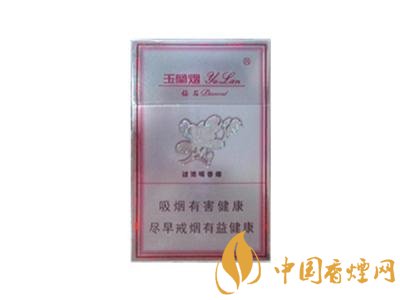 珠海香烟批发市场探秘，热门品牌价格一览及烟民评论分享